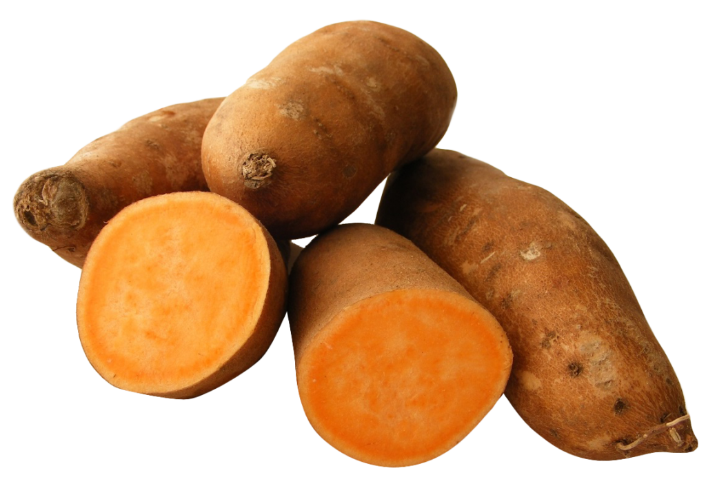 Sweet Potato